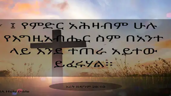 Amharic Bible