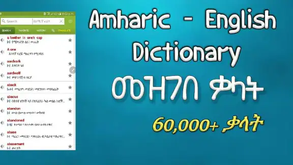 Amharic Dictionary - Translate