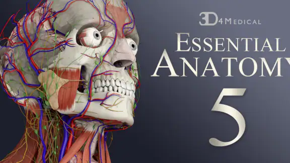 Essential Anatomy 5