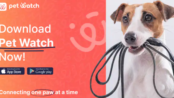 Pet Watch: Pet Care App in UAE