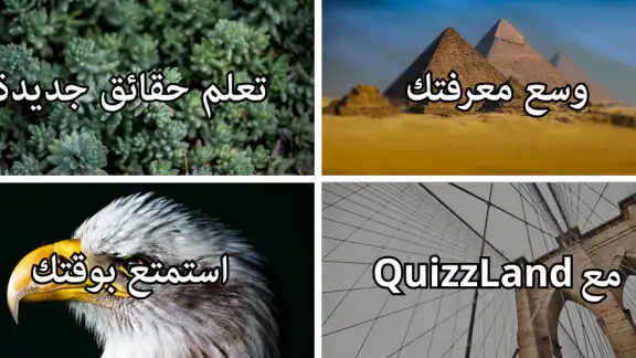 أسئلة & أجوبة: QuizzLand