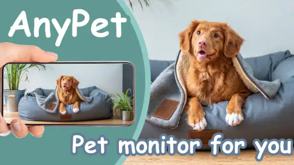 AnyPet Monitor - Cat & Dog Cam