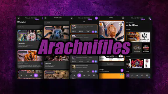Arachnifiles: Pet Tracker