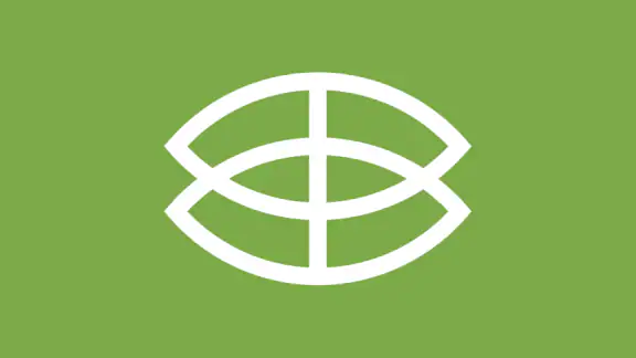 Bambusa