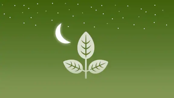 Biodynamic Gardening Calendar