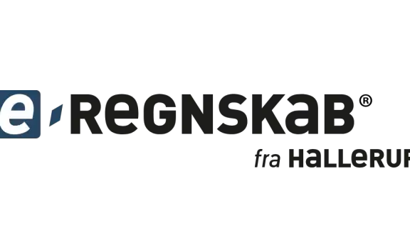 e-Regnskab