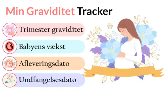 Gravid følg udviklingen App