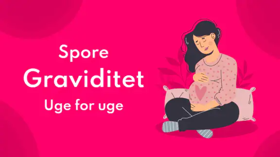 Graviditet Regnemaskine