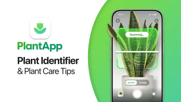 PlantApp – Planteguide