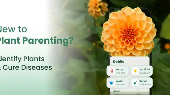 Plantify: AI Plant Identifier