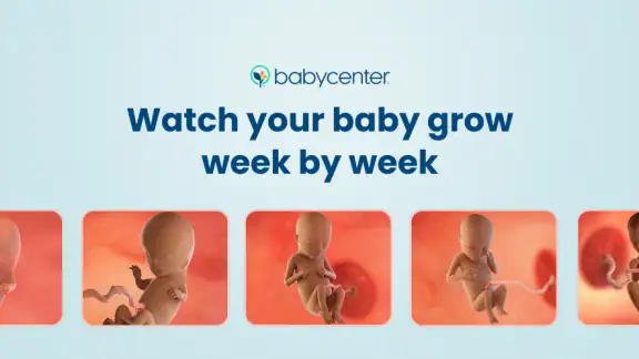 Pregnancy App & Baby Tracker