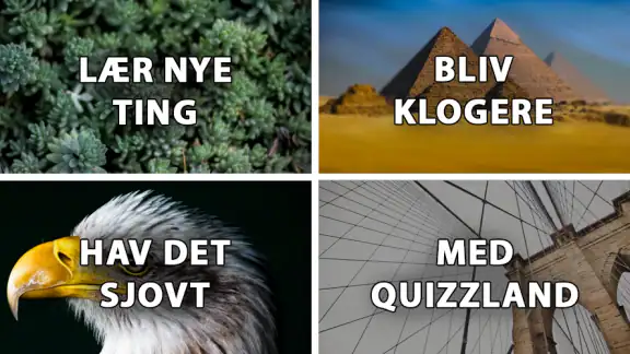 QuizzLand: Quiz spil på dansk
