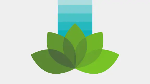 Vegan Scanner - WhatsVegan