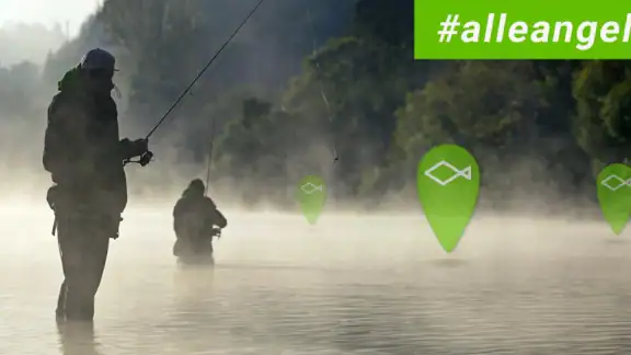 ALLE ANGELN - App für Angler