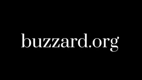 Buzzard – Politik für Schule