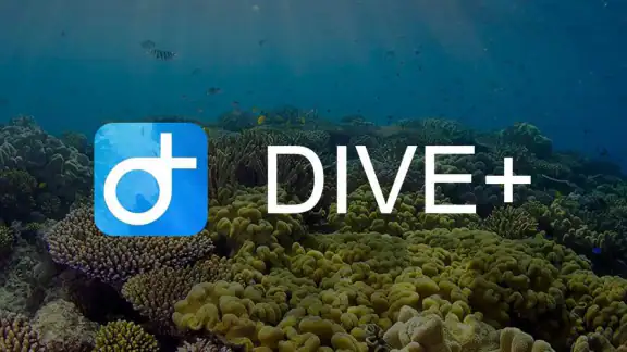 Dive+ : Tauchgemeinschaft