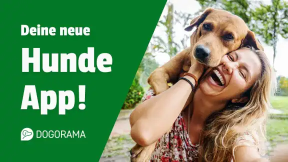 Dogorama – Die Hunde-Community