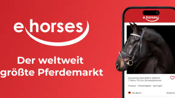 ehorses