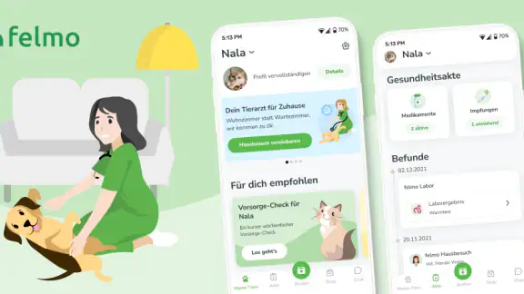 felmo - Mobiler Tierarzt