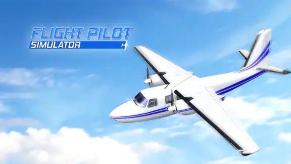 Flugpilot-Simulator 3D