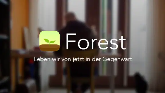 Forest：Konzentriert Bleiben