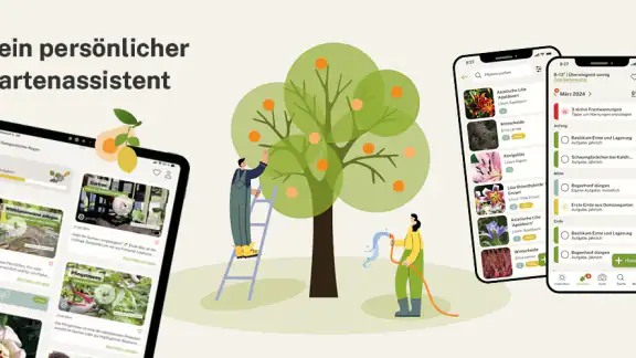 Gardify: Garten & Pflegeplan
