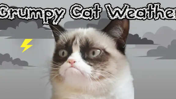 Grumpy Cat Weather