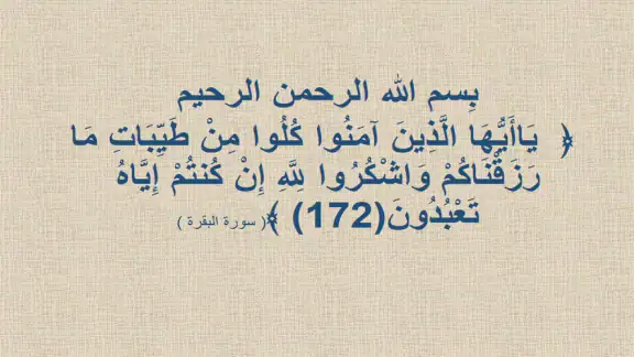 Halal Zulal