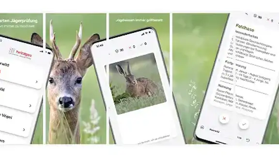 Lernkarten Jägerprüfung