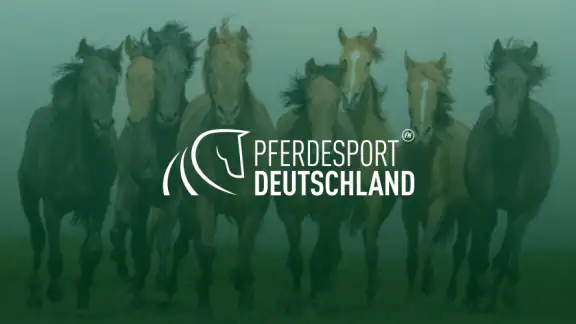 Pferdesport Deutschland