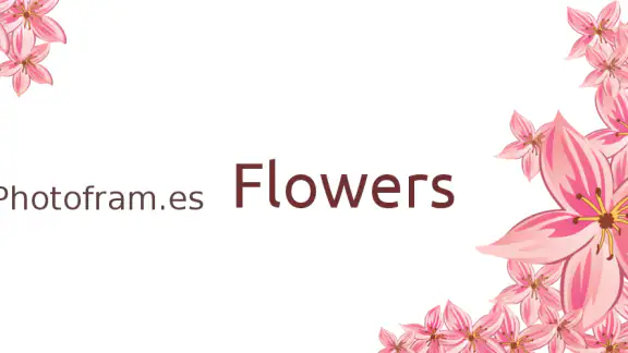 Photofram.es Flowers