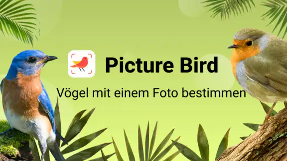 Picture Bird - Vögel bestimmen