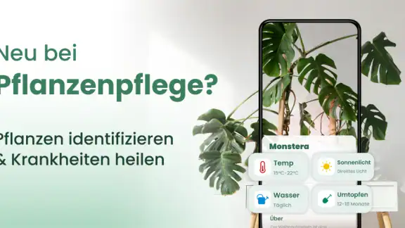 Plantify : Pflanzen Erkennen