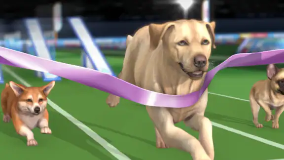 Pocket Paws: Meine süßen Hunde
