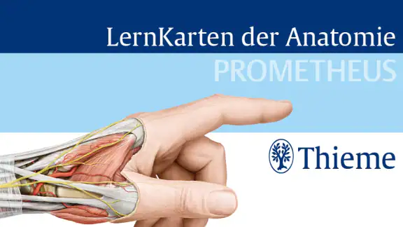 PROMETHEUS LernKarten