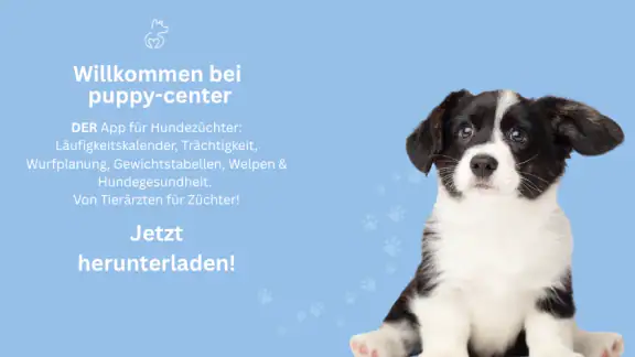 Puppy-Center: Hundezüchter-App