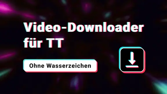 SnapTik - TT Video Downloader