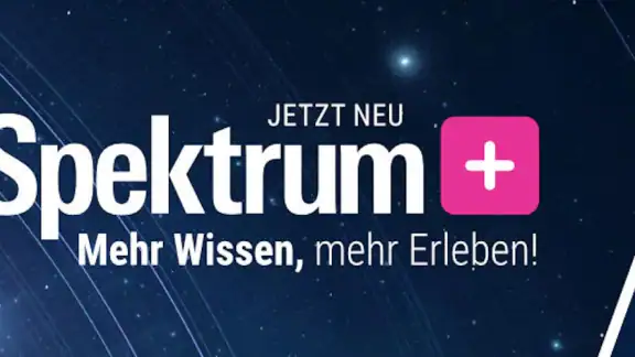 Spektrum+