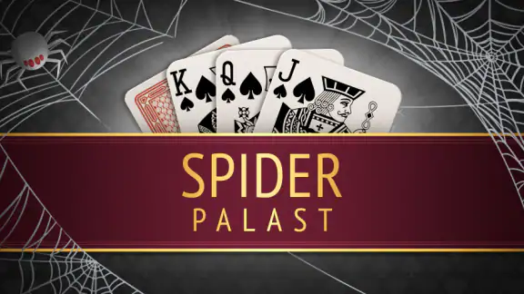 Spider Solitaire Online & Solo