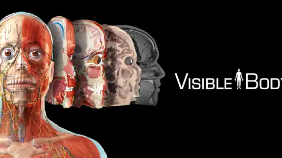 Visible Body Suite