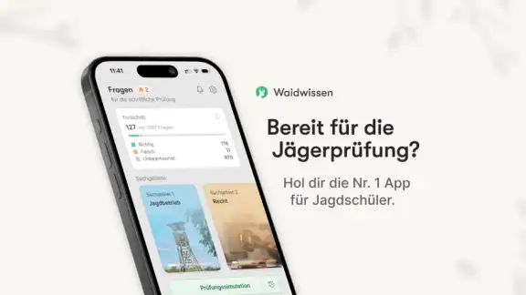 Waidwissen - Jagdschein App