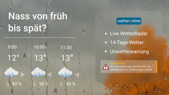 WetterOnline mit Pollenflug