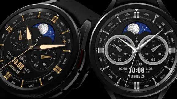WFP 309 Elegant watch face