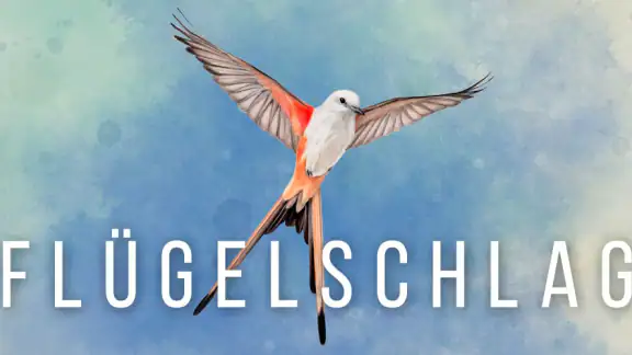 Wingspan (Flügelschlag)