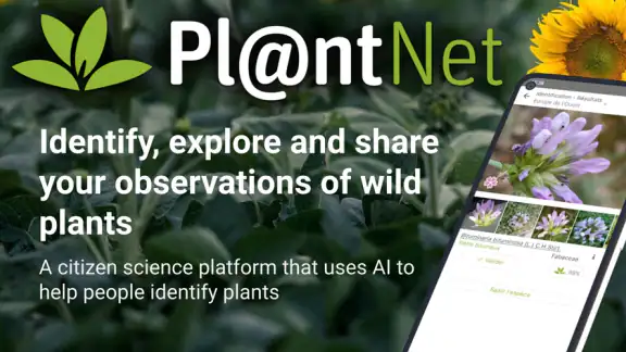 PlantNet Plant Identification