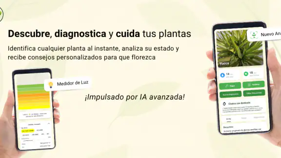 Broticola - Identifica plantas