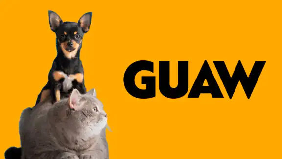 GUAW - DISFRUTA ANIMAL