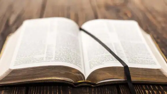 NTV Biblia Traducción Viviente