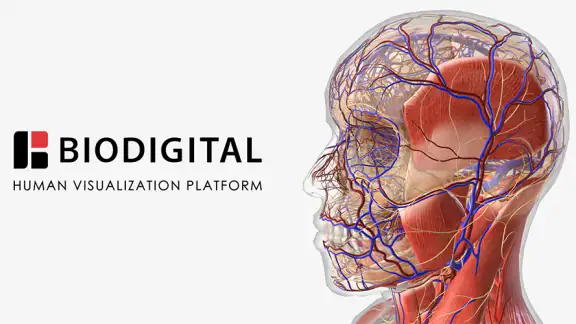 BioDigital Human - 3D Anatomy