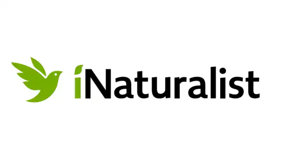 iNaturalist